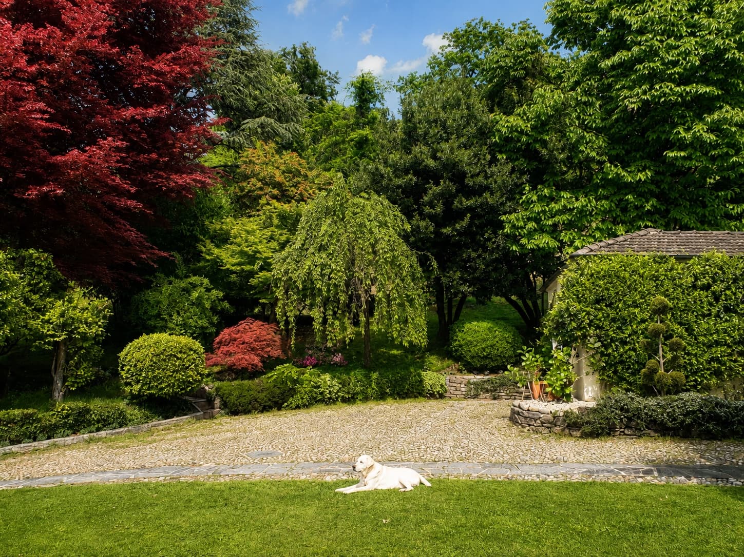 Exklusive Villa mit Seeblick am Lago Maggiore — Luino