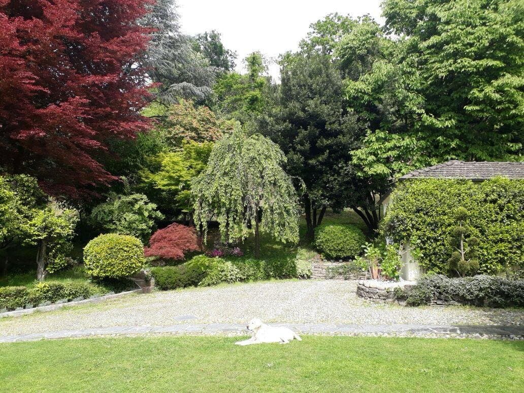 Exklusive Villa mit Seeblick am Lago Maggiore — Luino